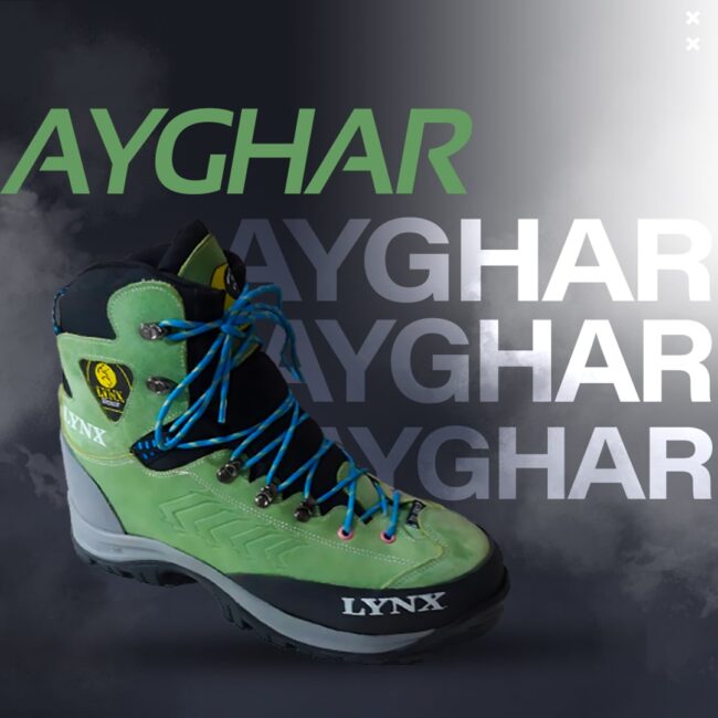 لینکس دیزمار