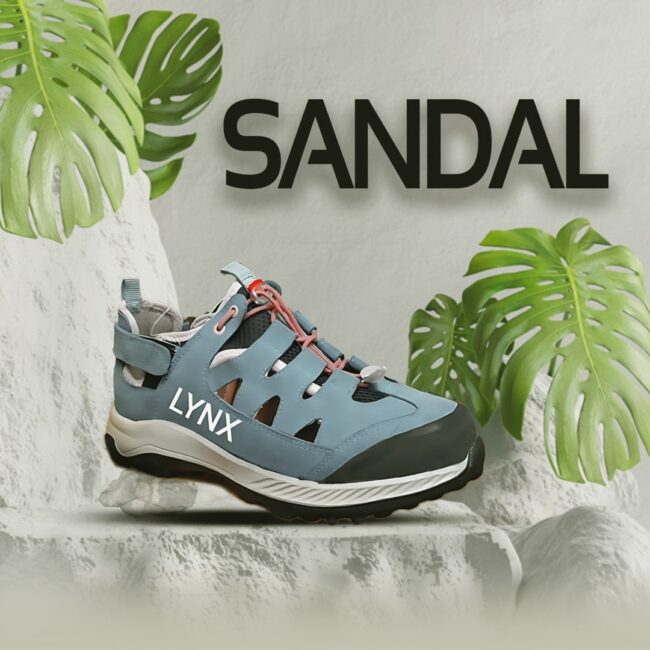 کفش کوهستانی لینکس دیزمار