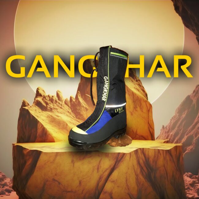 کفش لینکس دیزمار